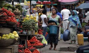 Driven from their homes by herdsmen, Tiv youths turn Kogi community into food basket