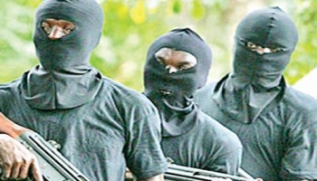 Gunmen strike again in Ebonyi, Kaduna communities, troops repel terrorists’ incursion in Borno