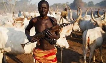 Herdsmen attack claims 13 lives in Benue