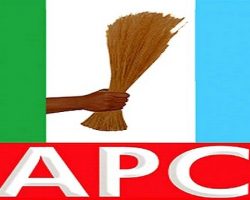 APC Convention Opens in Abuja with 32 Governors, Over 8,400 Delegates Expected
