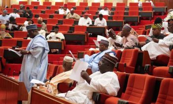 Solid minerals areas commission bill passes 2nd reading at Senate