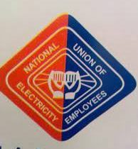 FG Wasted Time Before Removing Former Minister of Power, – -NUEE, others