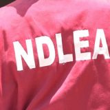 Tinubu Commends NDLEA After $360 Million Drug Bust Targets Nigerian-Mexican Syndicate