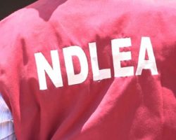 Tinubu Commends NDLEA After $360 Million Drug Bust Targets Nigerian-Mexican Syndicate
