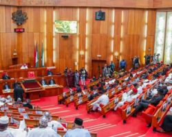 Nigeria Senate Approves State Police Bill, Unveils Safeguards Against Governors’ Abuse of Power