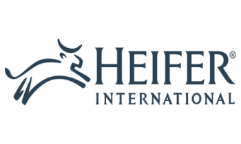  Heifer International Expands Crop Insurance, Protecting Rice Farmers Against Bad Harvests in Nigeria