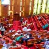Nigerian Senate Defends State Police Bill as Security Reform Moves to State Legislatures