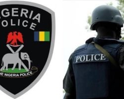 MTN Nigeria Chairman Ernest Ndukwe Hails Senate Approval of State Police Bill