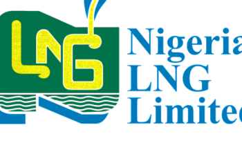 NLNG States What Nigeria Must Do To Achieve Objectives Of Decade Of Gas Initiative