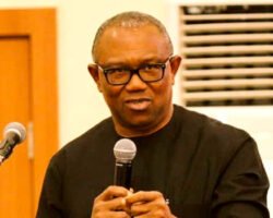 Presidency Rejects Obi’s Resignation Call, Says Tinubu Focused on Reforms and Economic Recovery