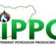 IPPG Urges $200bn Annual Energy Investment to Unlock Africa’s Oil, Gas and Power Potential