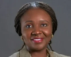 Nigeria Awards 37 Oil and Gas Blocks to 31 Companies in 2025 Licensing Round