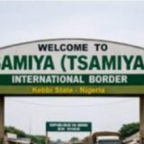 Kebbi : Beyond Borders, President Tinubu’s  Re-Opening of Kamba Borders, A Stroke of Economic Diplomacy.