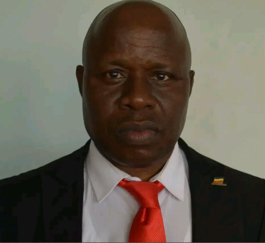 Ade Addesoken Electricity: ‘When Trillions Meet Doubt’ - businessstandardsng.com