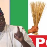 All Progressives Congress Chair Nentawe Yilwatda Dismisses Defection Fears, Assures Party Stability