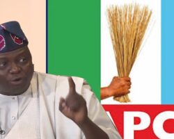 All Progressives Congress Chair Nentawe Yilwatda Dismisses Defection Fears, Assures Party Stability