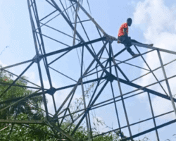 TCN Declares Force Majeure After Storm Topples Ikeja–Osogbo 330kV Line