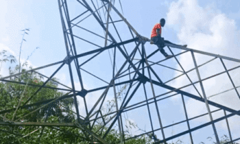 TCN Declares Force Majeure After Storm Topples Ikeja–Osogbo 330kV Line
