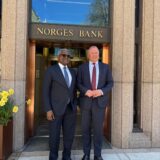 IFC To Send Investment Mission To Nigeria As Tinubu Pushes Private Capital For Energy, Housing, Livestock