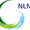 NLNG Train 7: A Catalyst for Nigerian Content and Industrial Growth