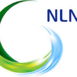 NLNG Train 7: A Catalyst for Nigerian Content and Industrial Growth