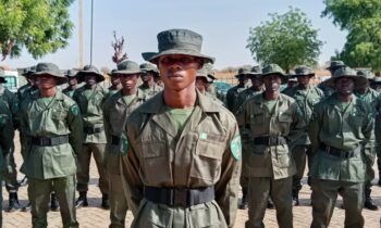 States Rush To Deploy Forest Guards To Tackle Rising Rural Insecurity