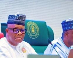 Nigeria Moves Closer to State Police as National Assembly Advances Constitutional Reform