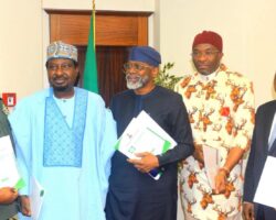Nigeria Moves Closer to State Police as Constitutional Amendment Nears Completion – Presidency