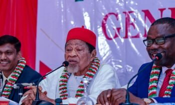 NIPCO Credits Gas Investments and Diversification for Resilience in Nigeria’s Turbulent Fuel Market