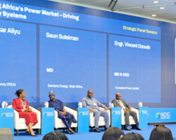 Nigeria’s Solar Pipeline Nears 20% of Generation Capacity, REA Projects 50% Share Within Three Years