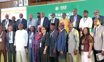 Nigeria’s Decade of Gas Needs Skilled Workforce to Succeed, Gas Minister Says