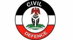 NSCDC Opens Probe Into Deaths of Suspected Illegal Miners in Niger Custody