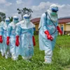 Ebola Alert: FG, States Intensify Surveillance as Infected Diplomat Reportedly Develops Organ Failure