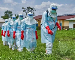 Ebola Alert: FG, States Intensify Surveillance as Infected Diplomat Reportedly Develops Organ Failure